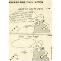 cartoon-what-we-say-to-cats.jpg