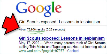 Girl Scouts exposed: Lessons in lesbianism