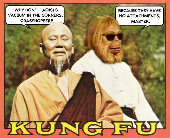 zaius_kung_fu1.jpg