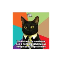 BuzinessCat.jpg