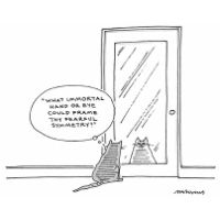 cat+cartoon.jpg