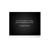 294783_dn.jpg