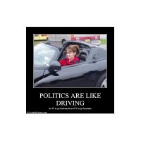 political-pictures-sarah-palin-politics.jpg