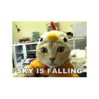 sky-is-falling.jpg