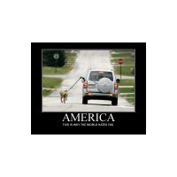 walking-dog-suv.jpg