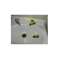 557816on.jpg