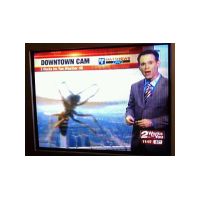 our-new-insect-overlords.jpg