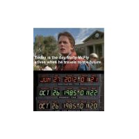 4810596.jpg