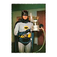 bat295443n.jpg
