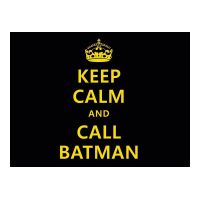 bat557843n.jpg