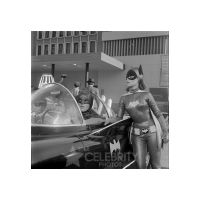 bat562921san.jpg