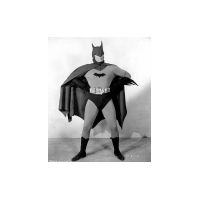 bat6023933n.jpg