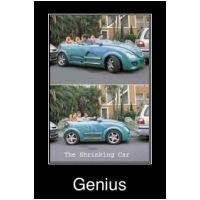 39695936n.jpg