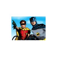 bat20890n.jpg