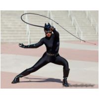 bat3967743.jpg
