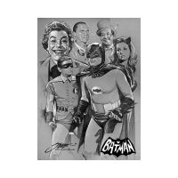 bat578837n.jpg