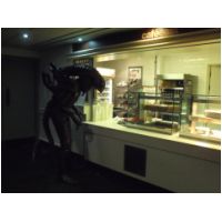 309323n.jpg
