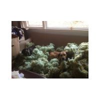 Denise_Murphy_from_Bridgewater__NJ_full.jpg