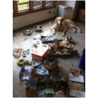 Sheena_Booth_from_Poquoson__VA_full.jpg
