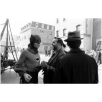 bat527558on.jpg
