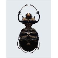 bug207046n.jpg