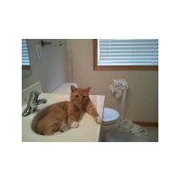 081712-Jessica_Beck_from_Chaska__MN_full_full.jpg