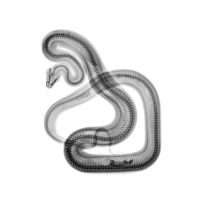 10487_156217974524976_281057225_n.jpg