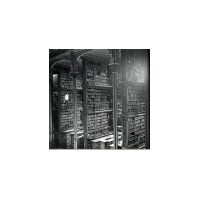 561496_4832251721231_303173706_n.jpg