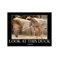 funny-animal-demotivations01.jpg