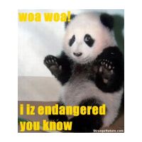 funny-animal-demotivations06.jpg