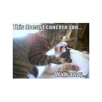 funny-animal-demotivations08.jpg