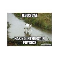 funny-animal-demotivations09.jpg