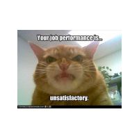 funny-animal-demotivations10.jpg