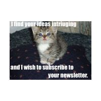 newsletter.jpg