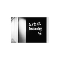 tumblr_m013nn9ASt1r1kqw0o5_250.jpg