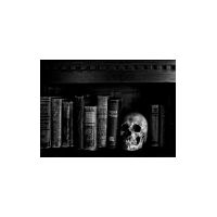 tumblr_ltp6puFSUU1qby61eo1_500.jpg